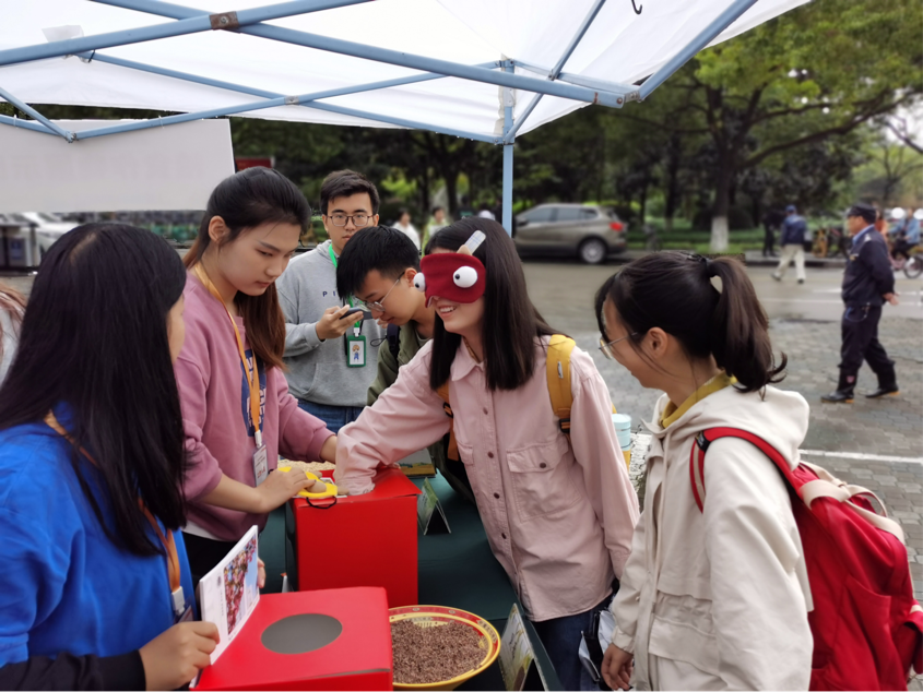 CEEF5